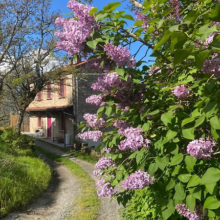 베르세토 La Lupa E L'Orso B&B 외부 사진