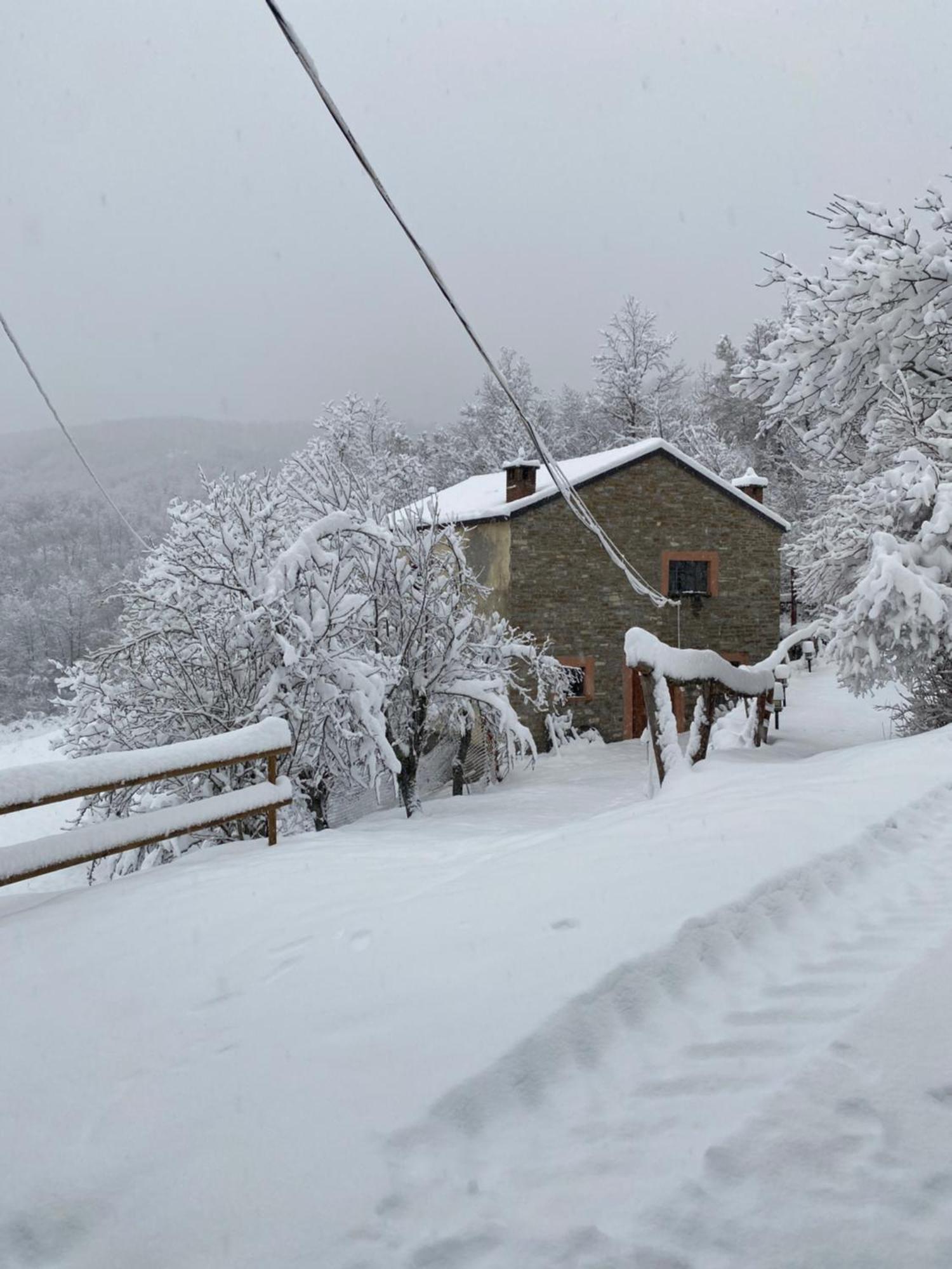 베르세토 La Lupa E L'Orso B&B 외부 사진