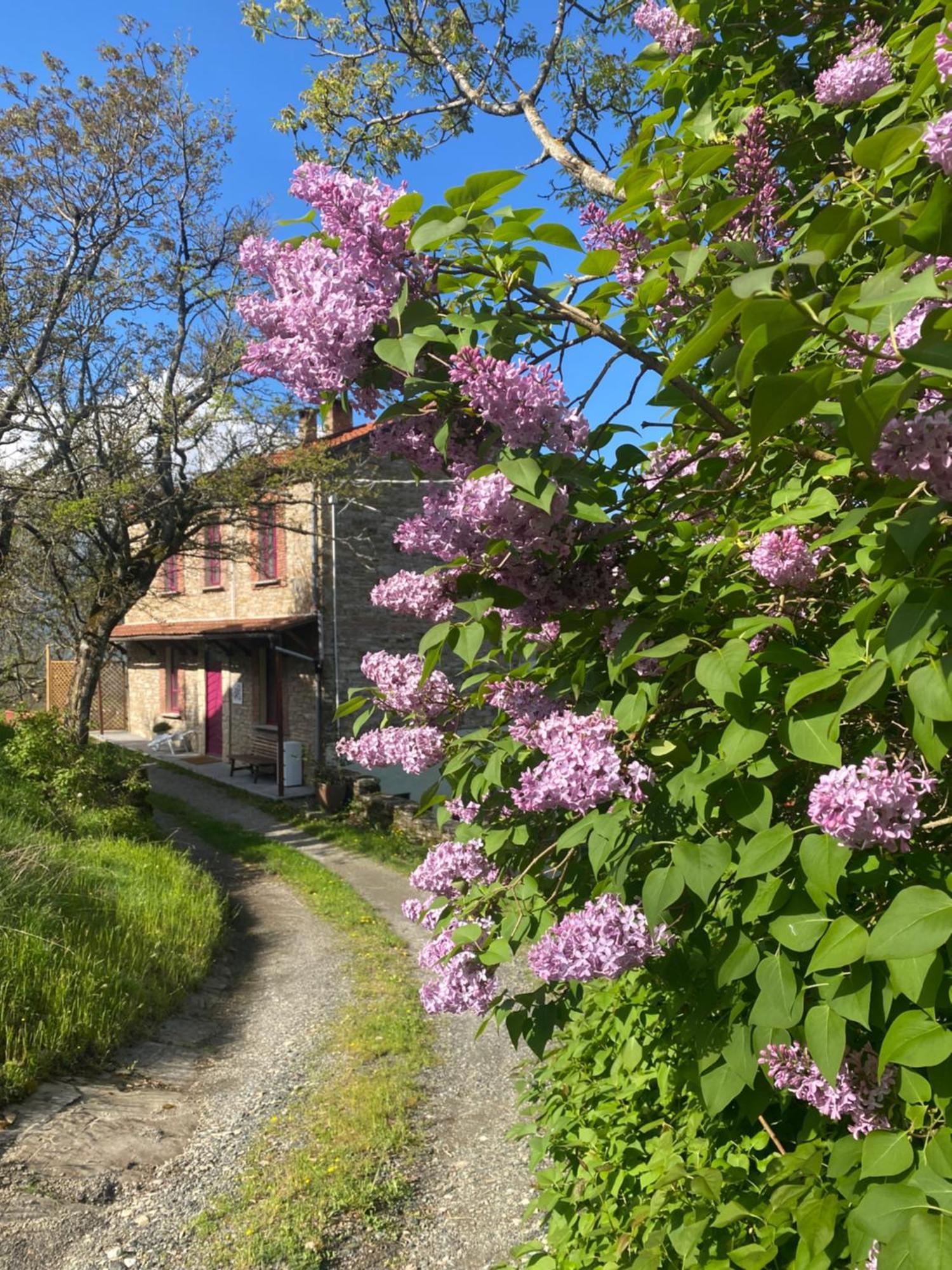 베르세토 La Lupa E L'Orso B&B 외부 사진